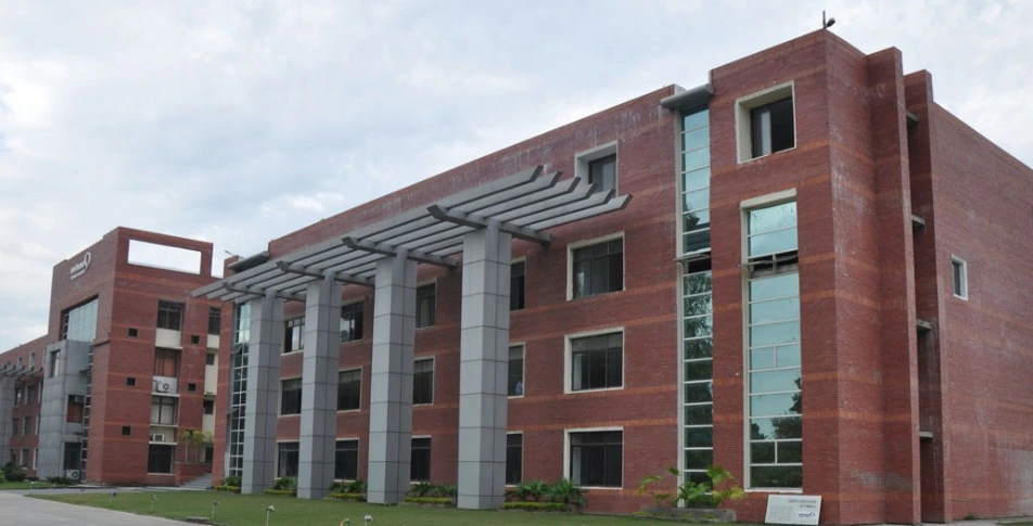 Untitled design (46)_1220.webp